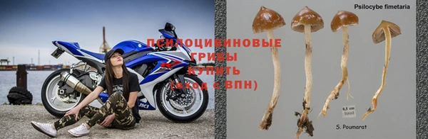 jwh Волосово