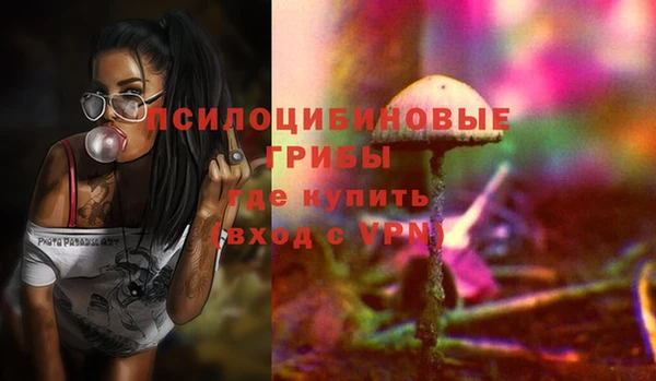 спиды Волоколамск