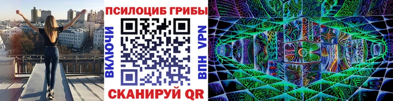Купить закладки  Сунжа  Галлюциногенные грибы MAGIC MUSHROOMS 